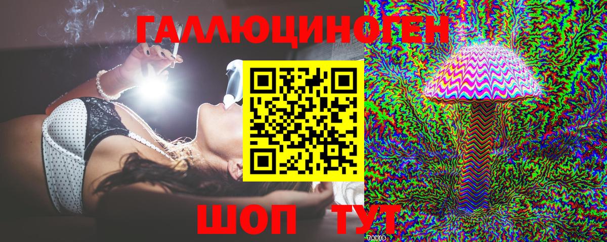 Галлюциногенные грибы мухоморы  Вход с VPN  Горно-Алтайск 