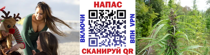Канабис Amnesia Горно-Алтайск
